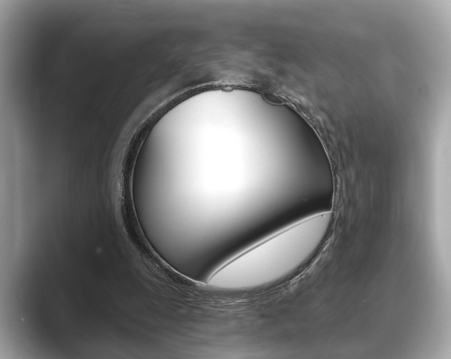 X0000089680247200706210820
