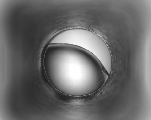X0000089680248200706210820