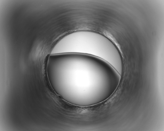 X0000089680249200706210820