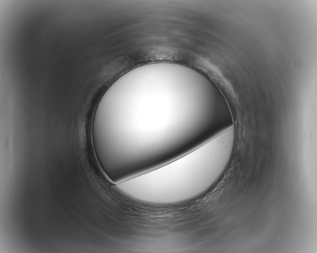 X0000089680250200706210820