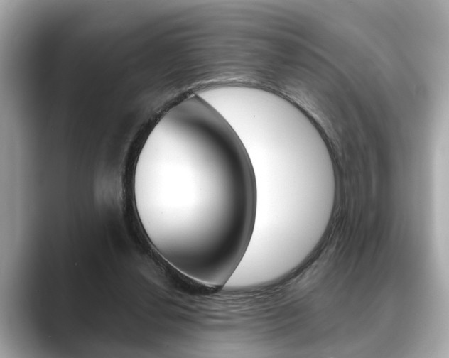 X0000089680252200706210820