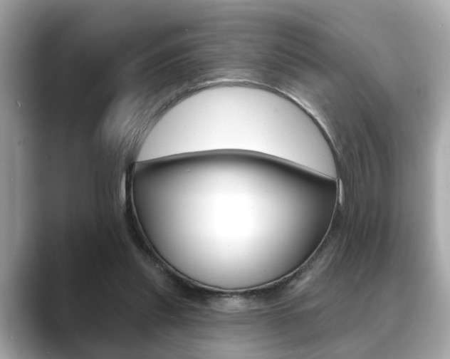 X0000089680253200706210820