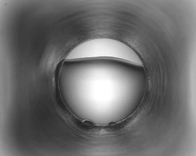 X0000089680254200706210820