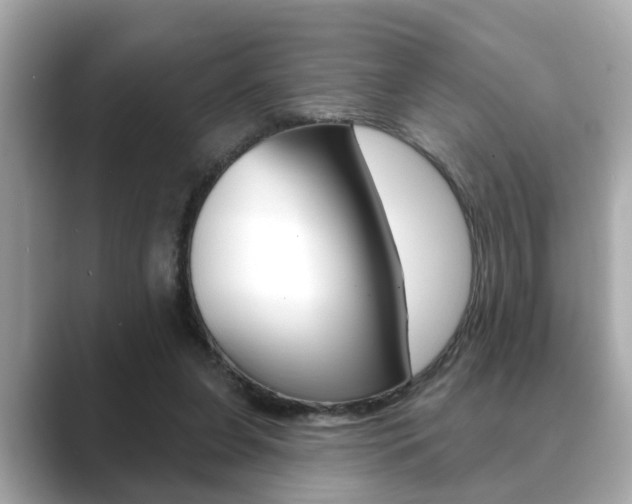 X0000089680255200706210820