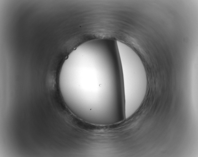 X0000089680259200706210820