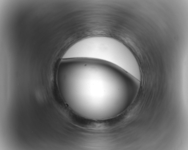 X0000089680260200706210820
