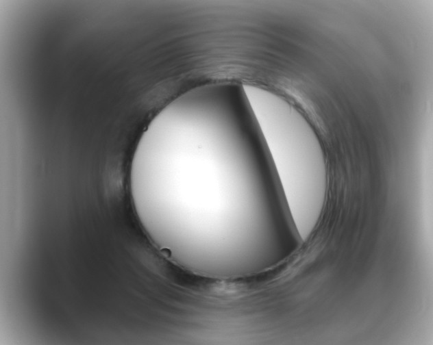 X0000089680261200706210820