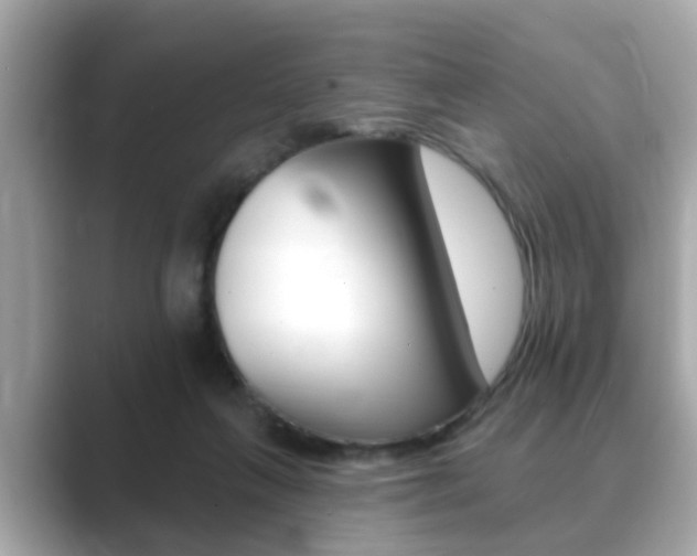 X0000089680263200706210820