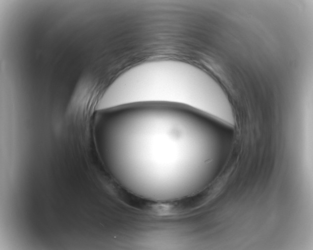 X0000089680265200706210820