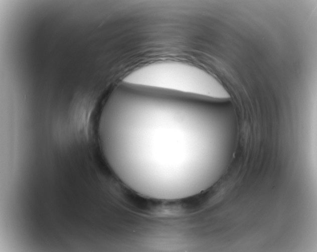 X0000089680270200706210820