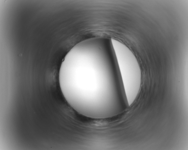 X0000089680275200706210820