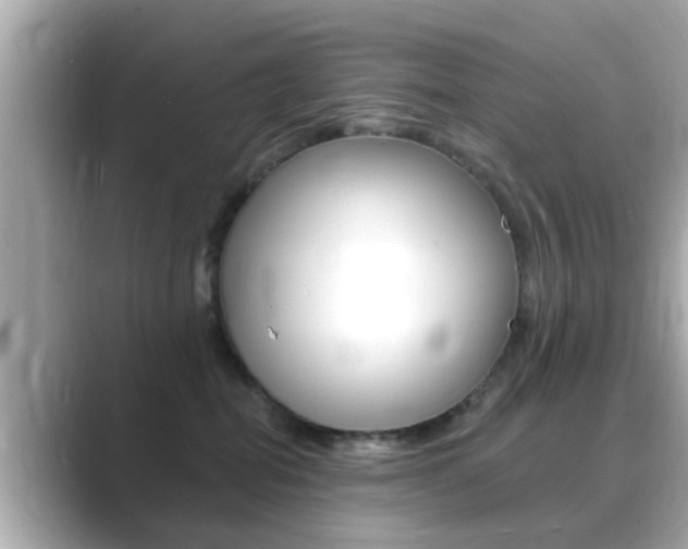 X0000089680282200706210820