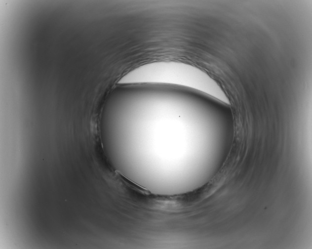 X0000089680284200706210820