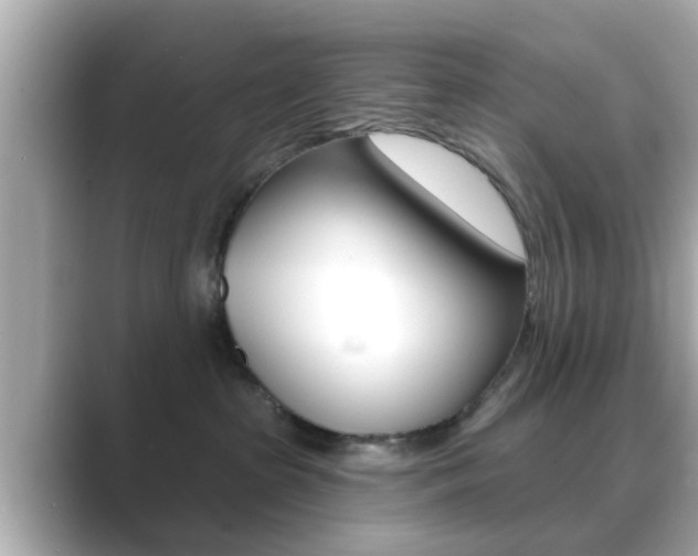 X0000089680285200706210820
