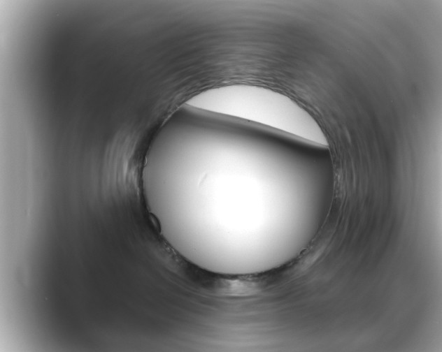 X0000089680286200706210820