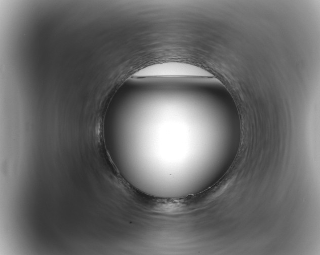 X0000089680288200706210820