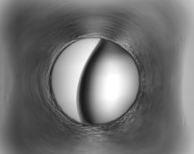 X0000089680289200706210819