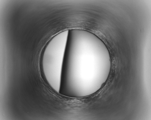 X0000089680290200706210819