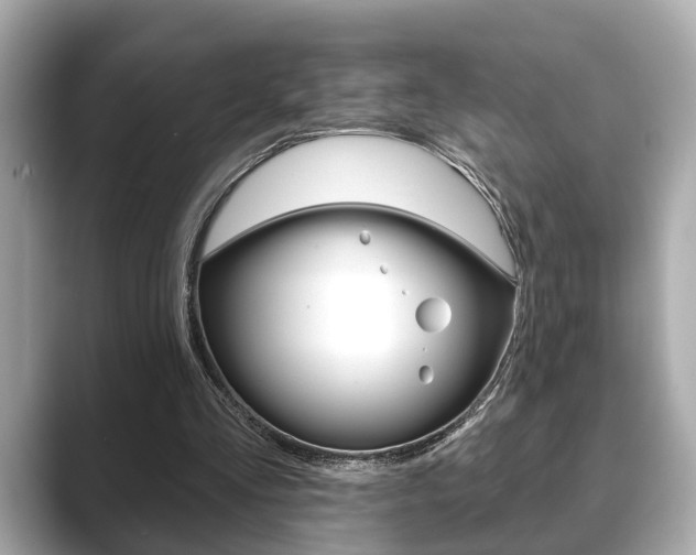 X0000089680293200706210819