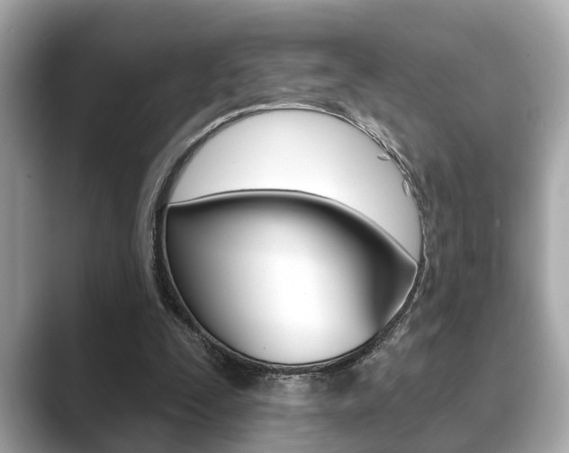X0000089680295200706210819