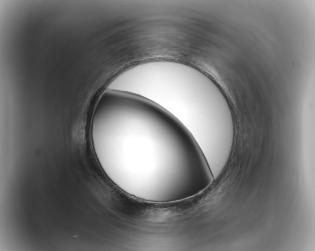 X0000089680299200706210819