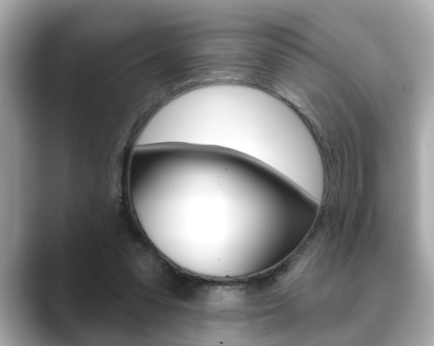 X0000089680303200706210819