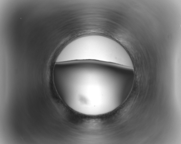X0000089680304200706210819