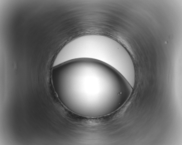 X0000089680305200706210819