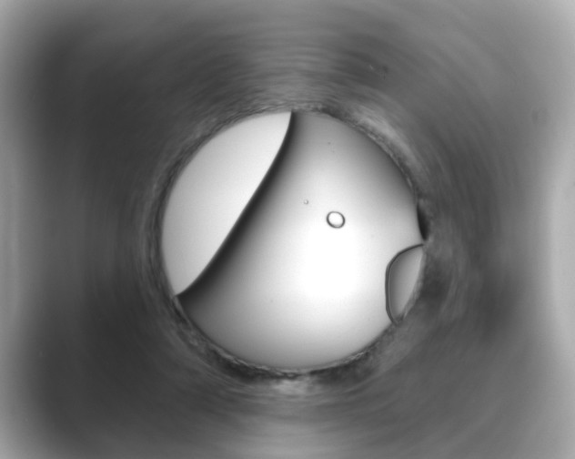 X0000089680306200706210819
