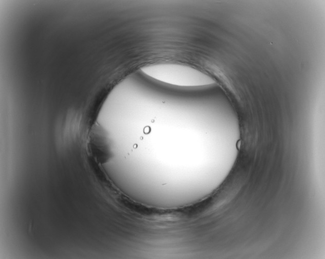 X0000089680307200706210819