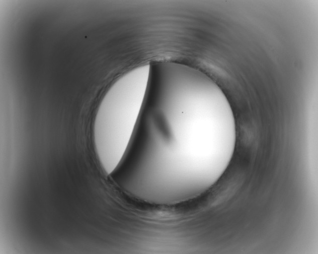 X0000089680308200706210819