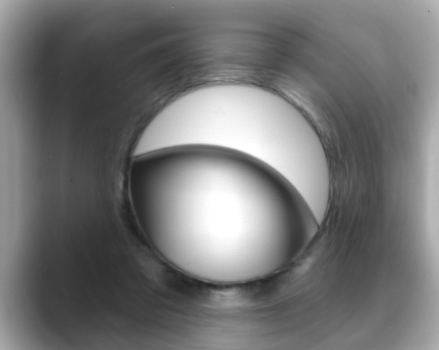 X0000089680309200706210819