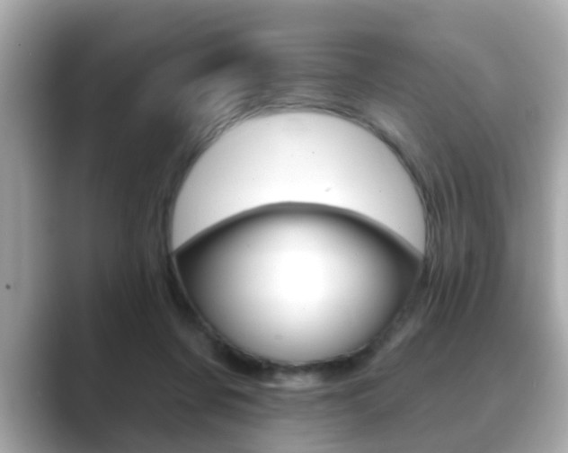 X0000089680311200706210819