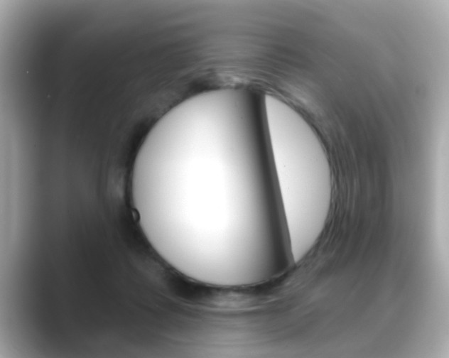 X0000089680315200706210819