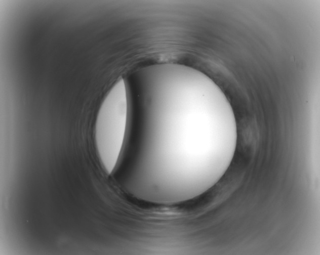 X0000089680316200706210819