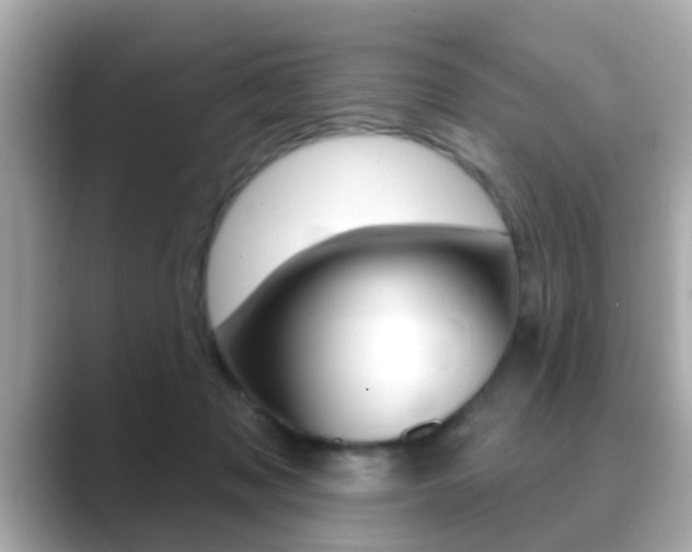 X0000089680317200706210819