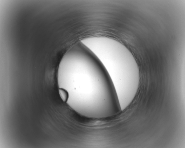 X0000089680319200706210819