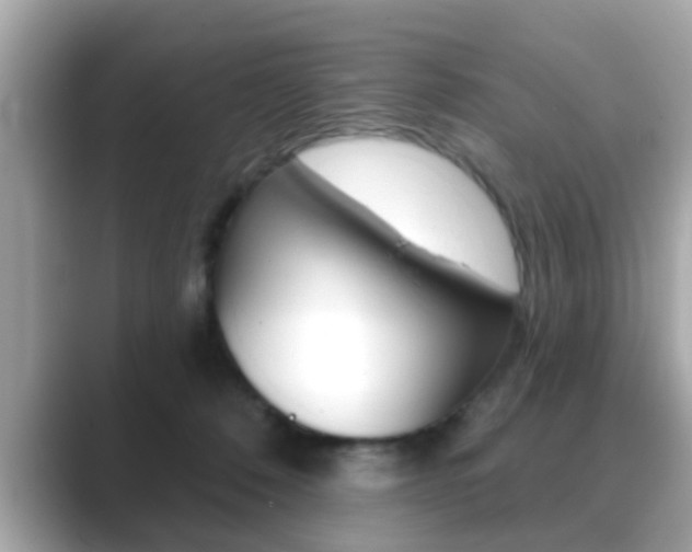 X0000089680320200706210819
