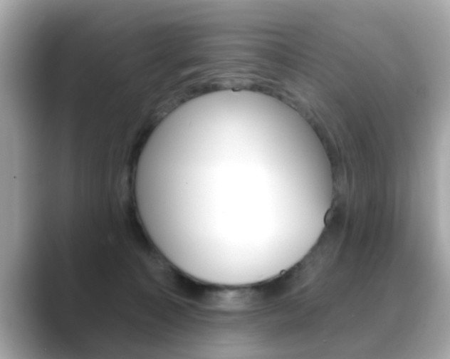 X0000089680323200706210819