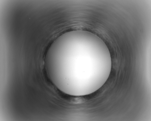 X0000089680324200706210819