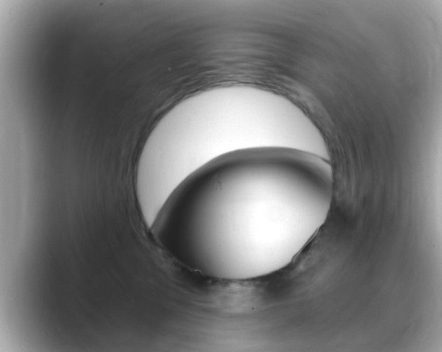 X0000089680329200706210819