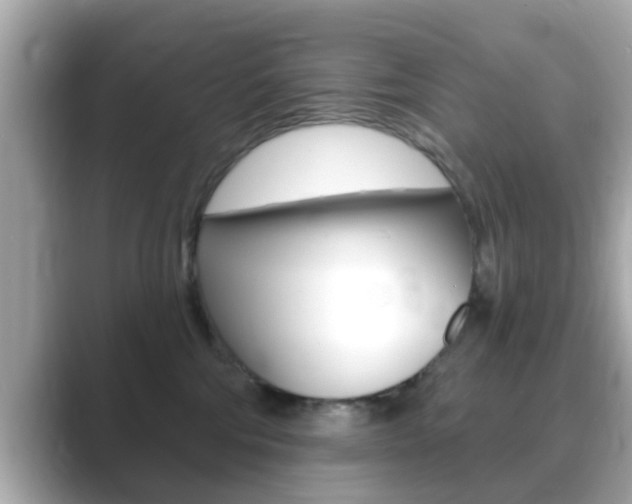 X0000089680330200706210819