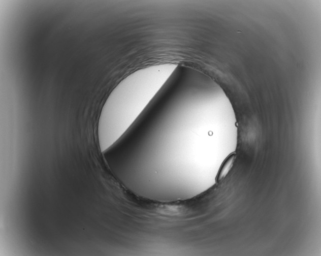 X0000089680332200706210819