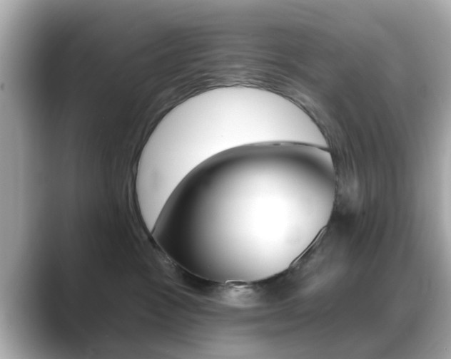 X0000089680333200706210819
