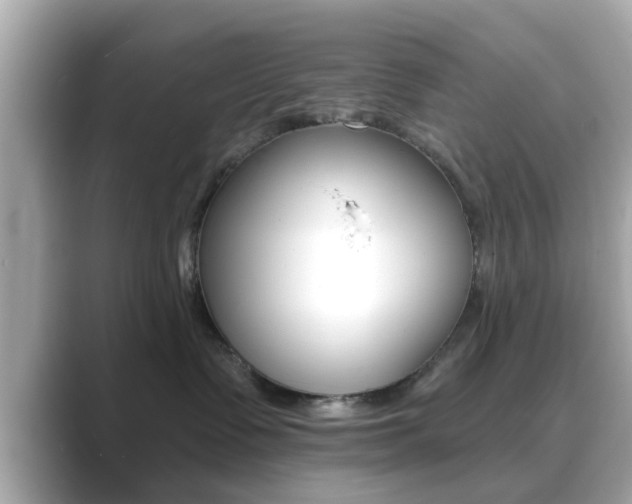 X0000089680335200706210819