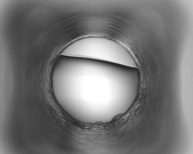 X0000089680337200706210818