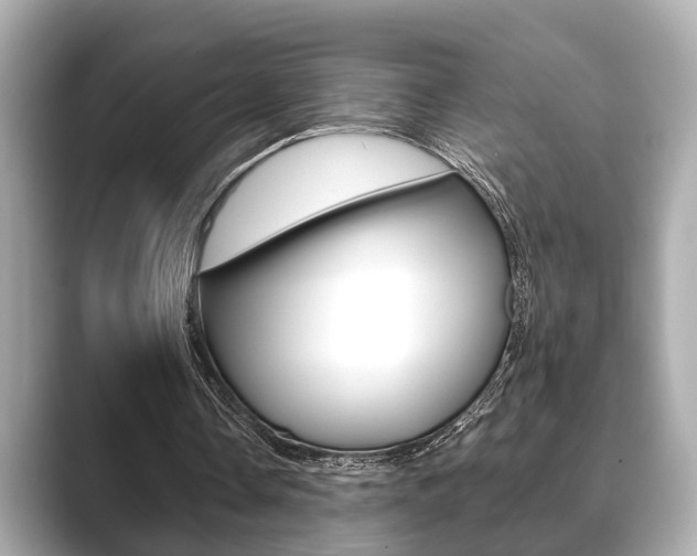X0000089680338200706210818
