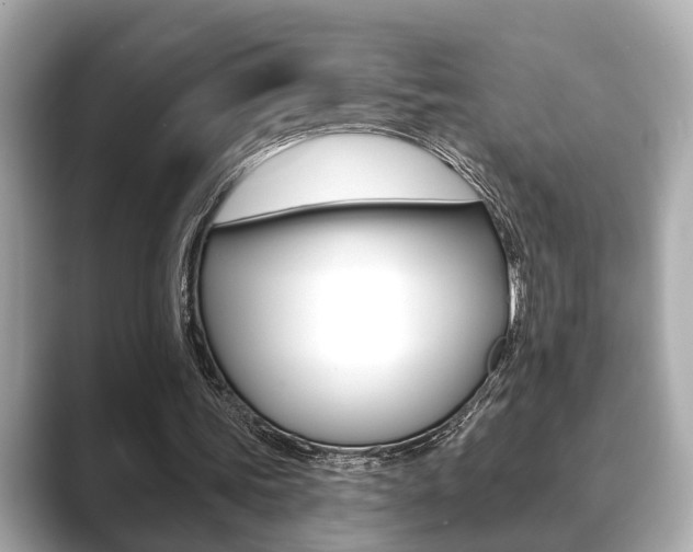 X0000089680339200706210818