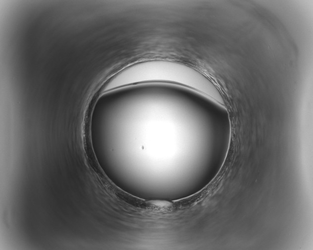 X0000089680340200706210818