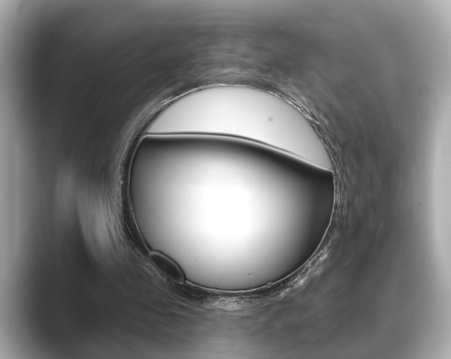 X0000089680341200706210818